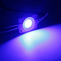 1pcs 12V COB LED Module Waterproof IP65 Shop Banner Advertisement Design Sign Backlight in White Red Green Blue Yellow