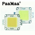 LED Chip Beads 100W 50W 30W 20W 10W 30-32V Backlight Diode Lamps Cold White Warm White LED Matrix For DIY LED Flood Light Bulbs