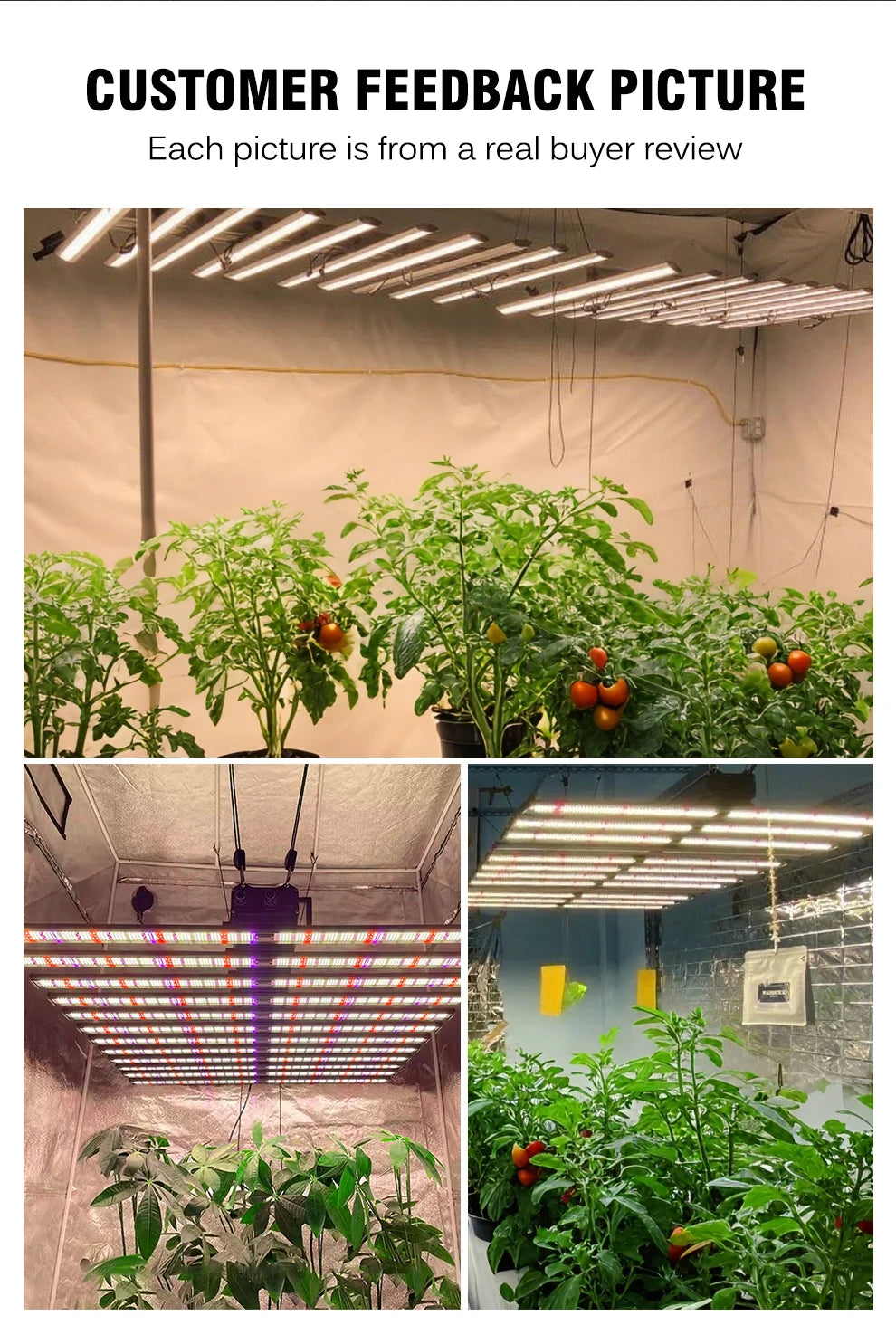 Full Spectrum 1060W AC100-277V IP65 Waterproof Dimmable & LED Chip SMD281B Easy Installation LED Grow Light