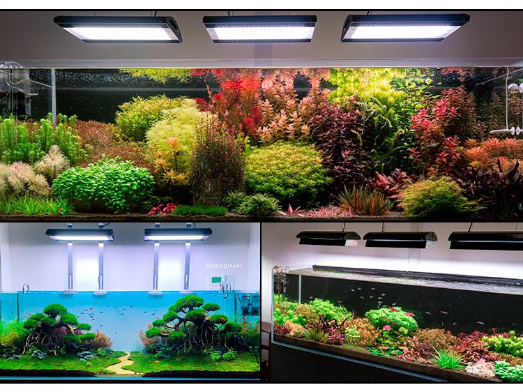 Black Led Aquarium Light For Freshwater Aquarium APP Control ADA Style RGB Solar Led Aquarium Light